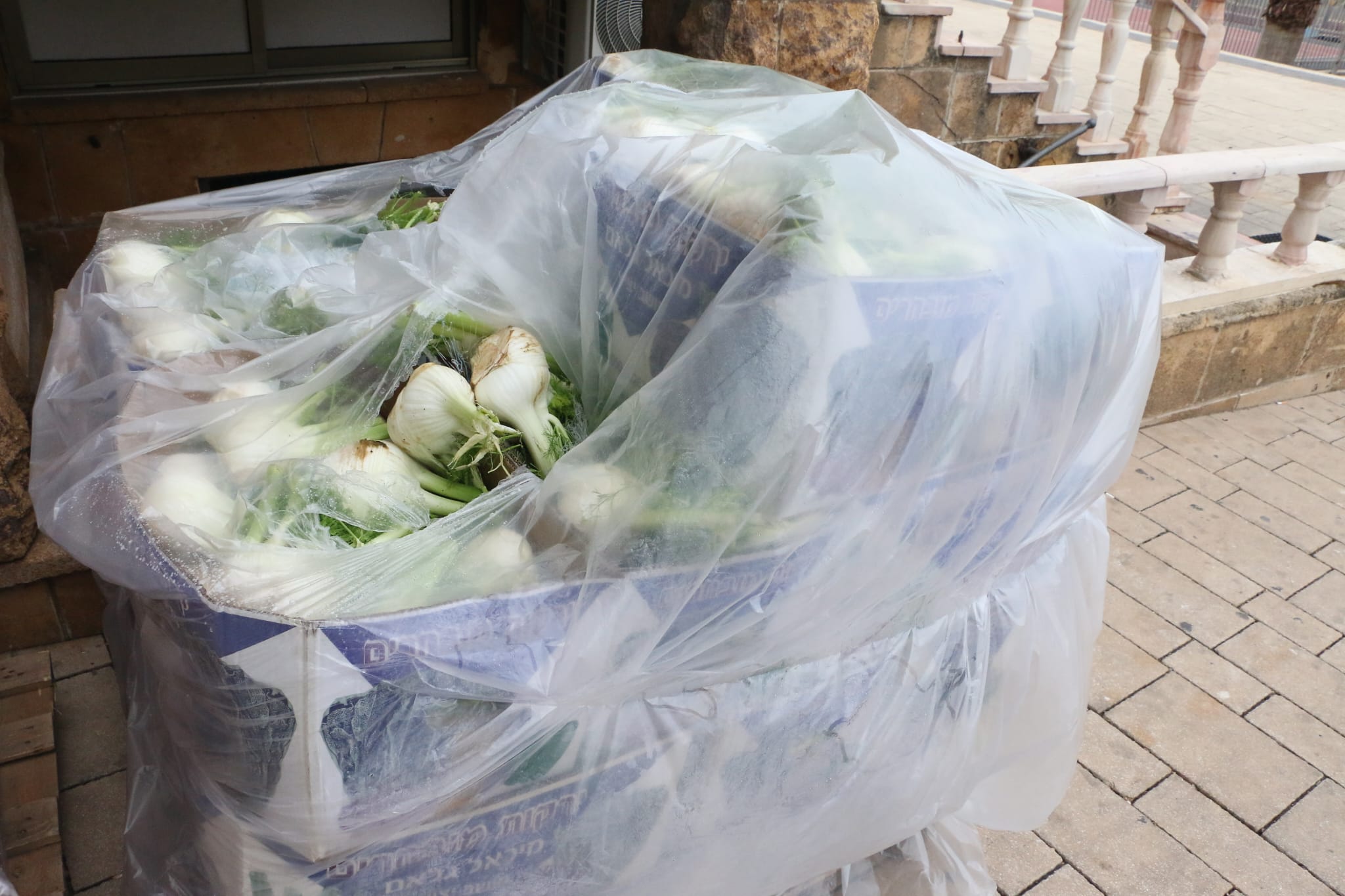 WhatsApp Image 2023-04-11 at 8.33.00 AM (1).jpeg